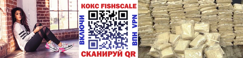 COCAIN Fish Scale  где найти наркотики  Луза 
