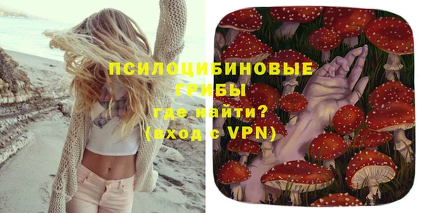 хмурый Зерноград