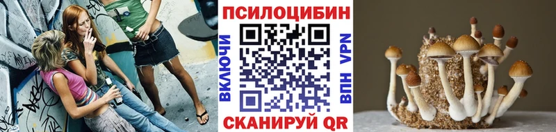 Псилоцибиновые грибы ЛСД  сколько стоит  Луза 
